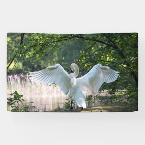 Swan with Wings Spread Banner