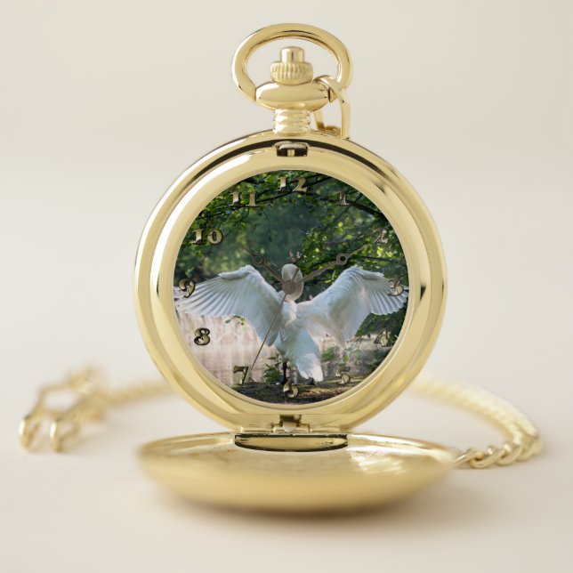 Swan with Wings Spread Pocket Watch (Inside)