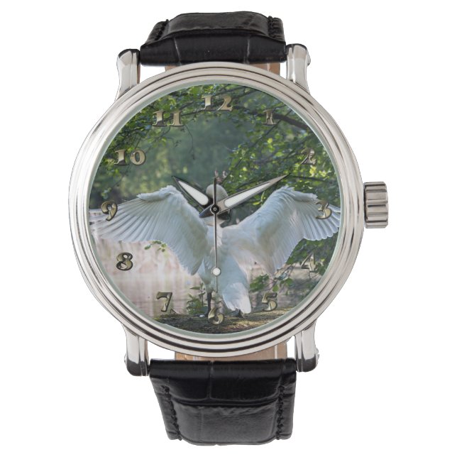 Swan with Wings Spread Watch (Front)
