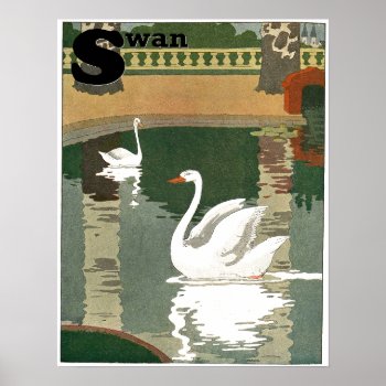 Swans Alphabet Letter S Poster by kidslife at Zazzle