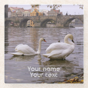 Swans and Charles bridge in Prague Glass Coaster