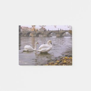 Swans and Charles bridge in Prague Post-it Notes