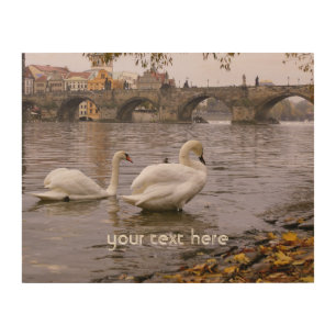 Swans and Charles bridge in Prague Wood Wall Art