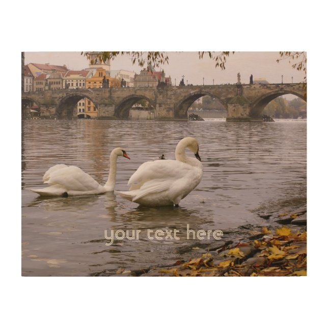 Swans and Charles bridge in Prague Wood Wall Art (Front)