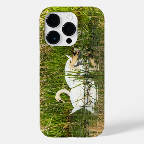 Swans and cygnets in lake Case_Mate iPhone 14 pro case
