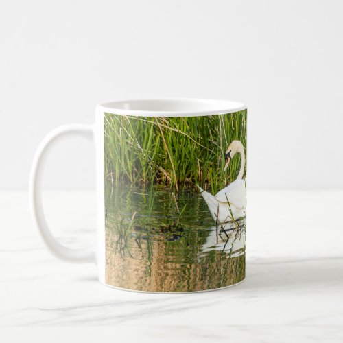 Swans and cygnets in lake coffee mug