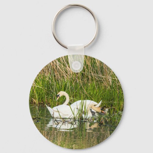 Swans and cygnets in lake keychain