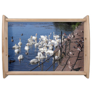 Swans and Other Birds at Roath Park Lake Cardiff Serving Tray