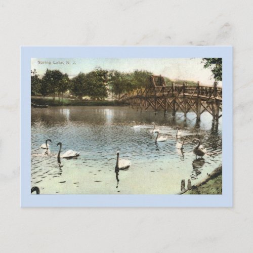 Swans and the Bridge Spring Lake NJ Vintage Postcard