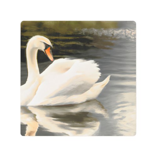 Swans are Majestic and Graceful Birds Metal Print
