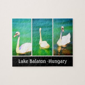 Swans at Lake Balaton - triptych