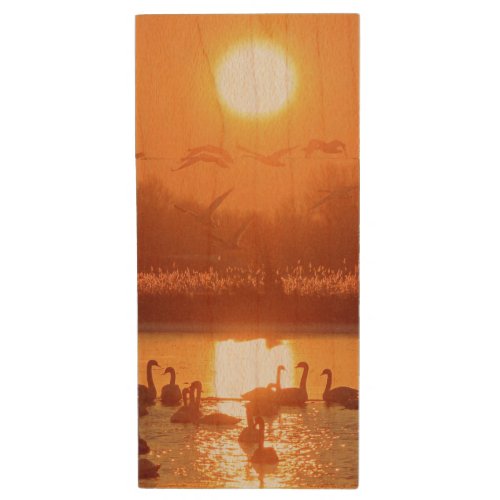 Swans at Sunrise Wood Flash Drive