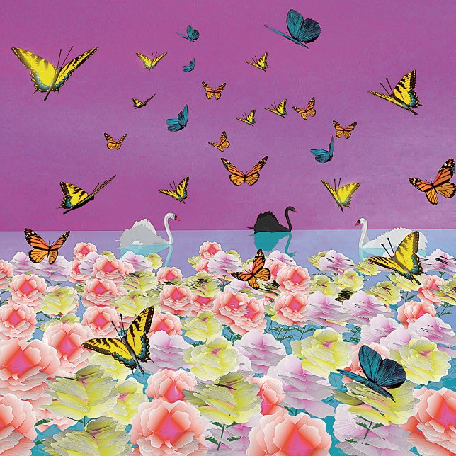 Swans at Sunset Poster (Creator Uploaded)