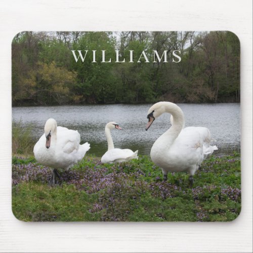 Swans beside Lake Photograph Mouse Pad