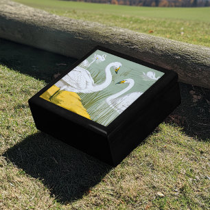 Swans By Verneuil Gift Box