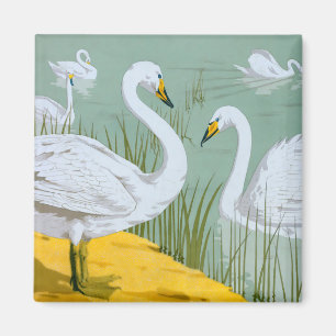 Swans By Verneuil Magnet