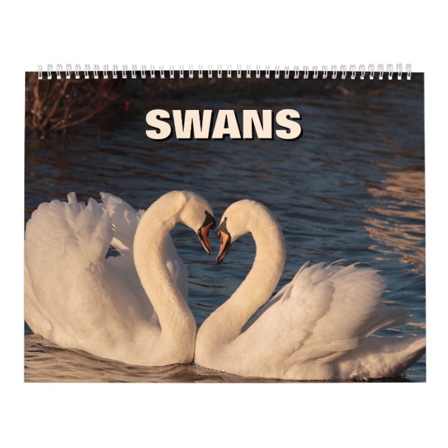 Swans Calendar (Cover)