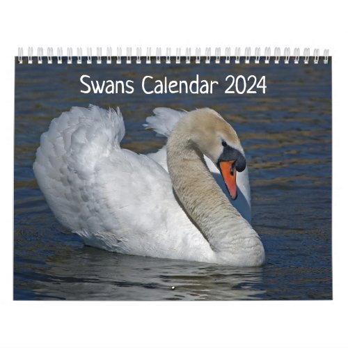 Swans Calendar 2024