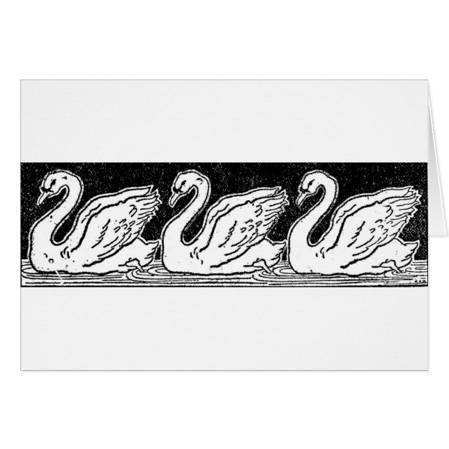 Swans Cards (Front Horizontal)