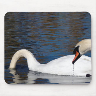 Swans Feeding Mouse Pad