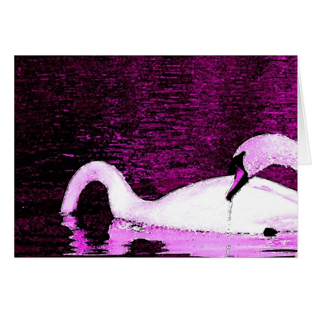 Swans Feeding Purple Cards (Front Horizontal)