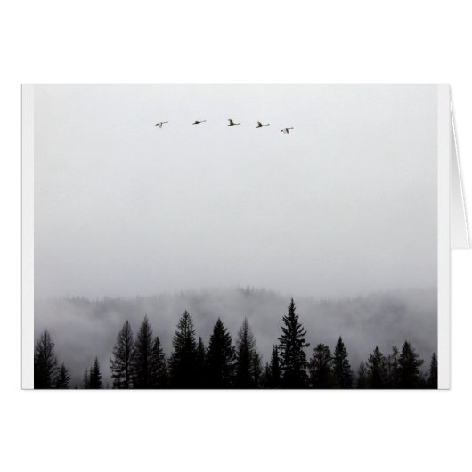 "Swans flying high" Cards (Front Horizontal)
