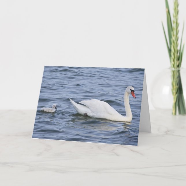 Swans Greeting Card (Front)