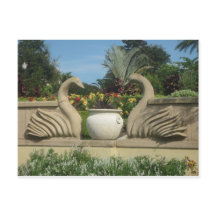 Swans Guarding Hollis Gardens