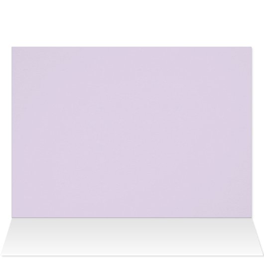 Swans Headed Home at Sunset (Inside Horizontal (Top))