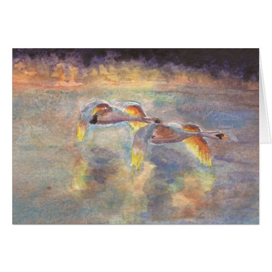 Swans Headed Home at Sunset Cards (Front Horizontal)