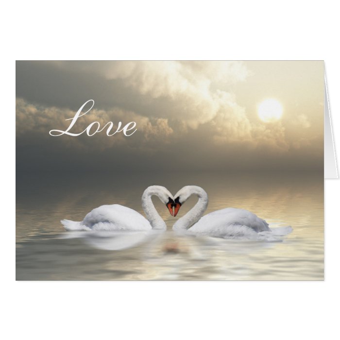 Swans heart greeting cards