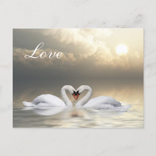 Swans heart postcard