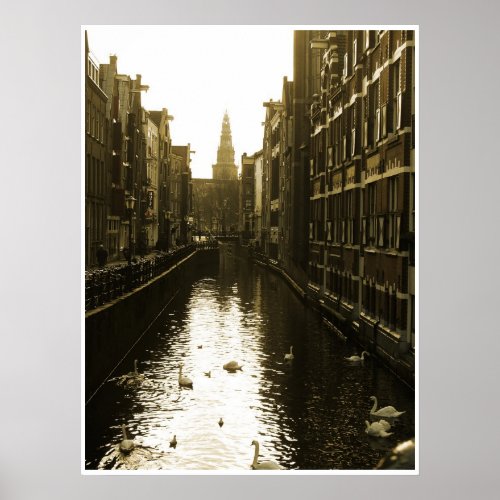Swans in Amsterdam Canal at Dawn Poster Art