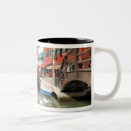 Swans in canal Burano Island Venice Italy Two_Tone Coffee Mug