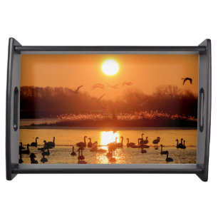 Swans in Lake at Sunrise Serving Tray