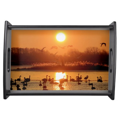 Swans in Lake at Sunrise Serving Tray