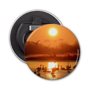 Swans in Lake at Sunset Bottle Opener