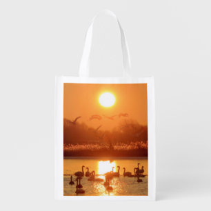 Swans in Lake at Sunset Grocery Bag
