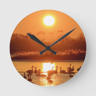 Swans in Lake at Sunset Round Clock