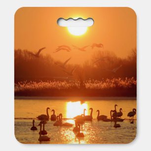 Swans in Lake at Sunset Seat Cushion