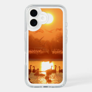 Swans in Lake at Sunset iPhone 16 Case