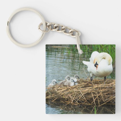 Swans in lake keychain