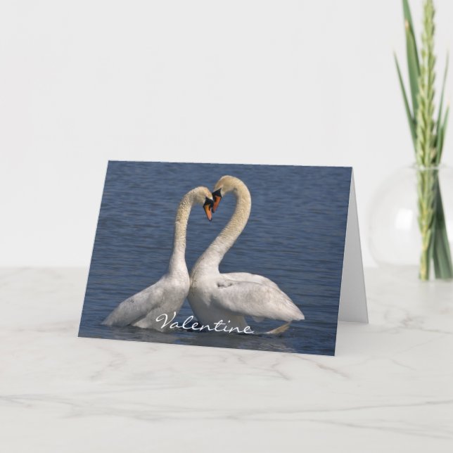 Swans in Love Card - Valentine (Front)