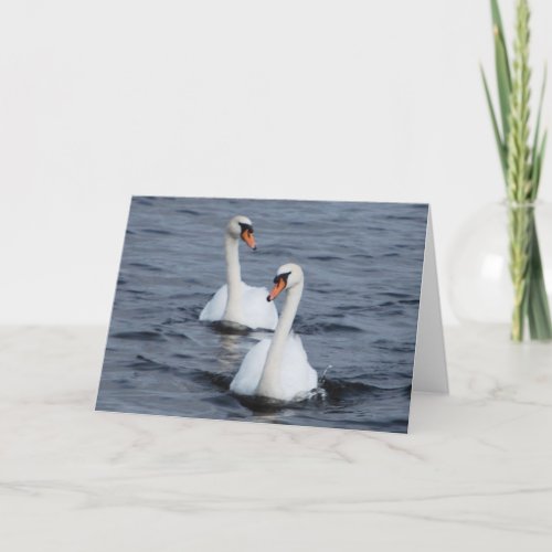 Swans In Love Holiday Card