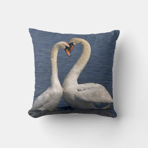 Swans in Love Pillow