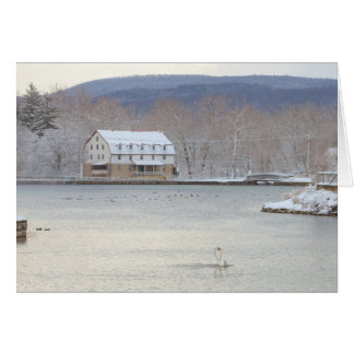 Swans in pond with mill and hills cards
