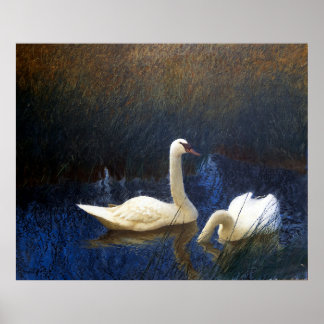 Swans in Reeds (1907) Poster