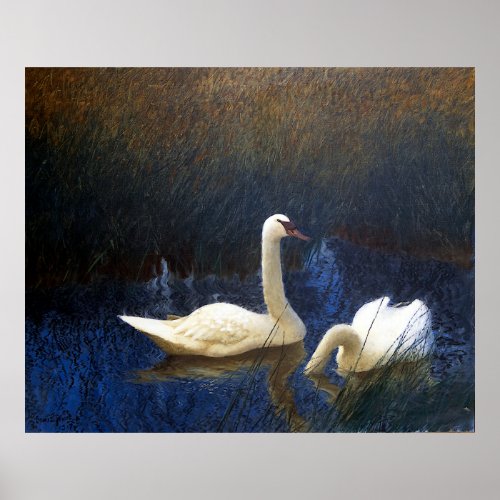 Swans in Reeds 1907 Poster