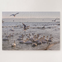 Swans in the Black Sea Jigsaw Puzzle