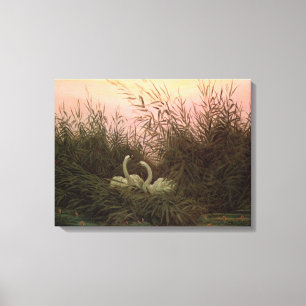 Swans in the Reeds, c.1820 Canvas Print